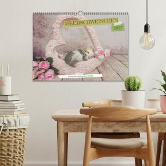 MEERSCHWEINCHEN verzaubern uns immer wieder (Wandkalender 2027 DIN A3 quer), CALVENDO Monatskalender