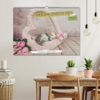 MEERSCHWEINCHEN verzaubern uns immer wieder (Wandkalender 2027 DIN A2 quer), CALVENDO Monatskalender