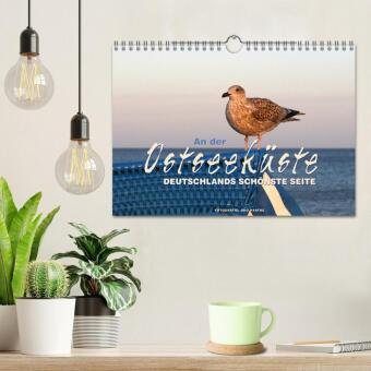 An der Ostseeküste - Deutschlands schönste Seite (Wandkalender 2027 DIN A4 quer), CALVENDO Monatskalender