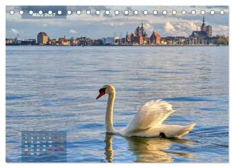 An der Ostseeküste - Deutschlands schönste Seite (Tischkalender 2027 DIN A5 quer), CALVENDO Monatskalender