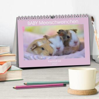 BABY Meerschweinchen Traumhaft süß (Tischkalender 2027 DIN A5 quer), CALVENDO Monatskalender