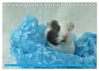 BABY Meerschweinchen Traumhaft süß (Tischkalender 2027 DIN A5 quer), CALVENDO Monatskalender