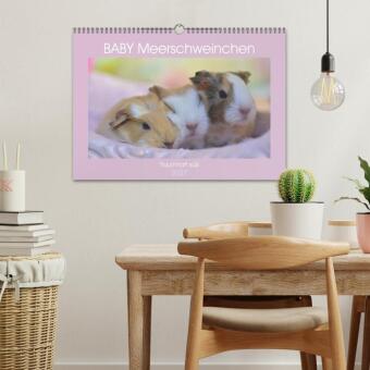 BABY Meerschweinchen Traumhaft süß (Wandkalender 2027 DIN A3 quer), CALVENDO Monatskalender