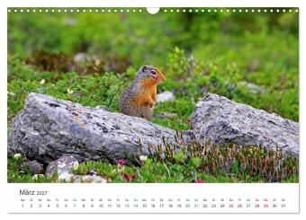 Icefields Parkway in Kanada (Wandkalender 2027 DIN A3 quer), CALVENDO Monatskalender