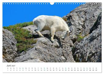Icefields Parkway in Kanada (Wandkalender 2027 DIN A3 quer), CALVENDO Monatskalender
