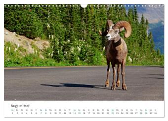 Icefields Parkway in Kanada (Wandkalender 2027 DIN A3 quer), CALVENDO Monatskalender