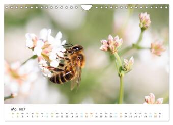 Bee Beautiful - Die phantastische Welt der Bienen (Wandkalender 2027 DIN A4 quer), CALVENDO Monatskalender