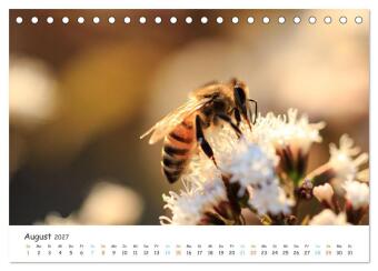 Bee Beautiful - Die phantastische Welt der Bienen (Tischkalender 2027 DIN A5 quer), CALVENDO Monatskalender