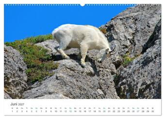 Icefields Parkway in Kanada (Wandkalender 2027 DIN A2 quer), CALVENDO Monatskalender