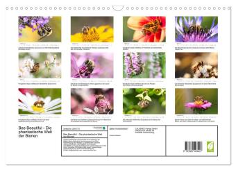 Bee Beautiful - Die phantastische Welt der Bienen (Wandkalender 2027 DIN A3 quer), CALVENDO Monatskalender