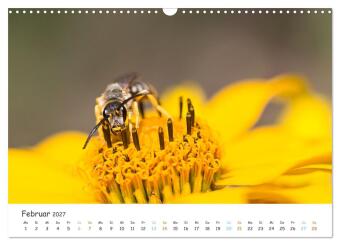 Bee Beautiful - Die phantastische Welt der Bienen (Wandkalender 2027 DIN A3 quer), CALVENDO Monatskalender
