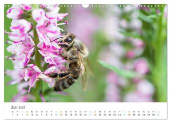 Bee Beautiful - Die phantastische Welt der Bienen (Wandkalender 2027 DIN A3 quer), CALVENDO Monatskalender