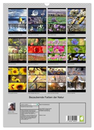 Bezaubernde Farben der Natur (Wandkalender 2027 DIN A3 hoch), CALVENDO Monatskalender