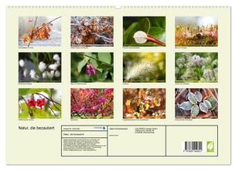 Natur, die bezaubert (Wandkalender 2027 DIN A2 quer), CALVENDO Monatskalender