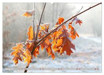 Natur, die bezaubert (Wandkalender 2027 DIN A2 quer), CALVENDO Monatskalender