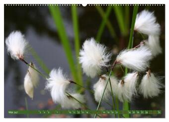 Natur, die bezaubert (Wandkalender 2027 DIN A2 quer), CALVENDO Monatskalender