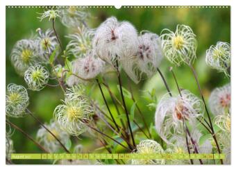 Natur, die bezaubert (Wandkalender 2027 DIN A2 quer), CALVENDO Monatskalender