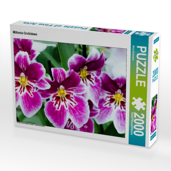CALVENDO Puzzle Miltonia Orchideen 2000 Teile Puzzle quer | 2000 Teile Lege-Größe 90 × 67 cm Foto-Puzzle für glückliche Stunden