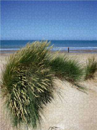 CALVENDO Puzzle Strandhafer im Sommer | 2000 Teile Lege-Größe 90 × 67 cm Foto-Puzzle für glückliche Stunden