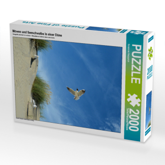 CALVENDO Puzzle Möwen und Seeschwalbe in einer Düne | 2000 Teile Lege-Größe 90 × 67 cm Foto-Puzzle für glückliche Stunden