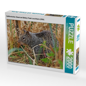 CALVENDO Puzzle Kalifornischer Ziesel am Battery Point Leuchtturm (USA) | 2000 Teile Lege-Größe 90 × 67 cm Foto-Puzzle für glückliche Stunden