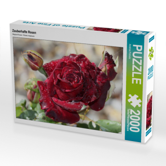 CALVENDO Puzzle Zauberhafte Rosen 2000 Teile Puzzle quer | 2000 Teile Lege-Größe 90 × 67 cm Foto-Puzzle für glückliche Stunden