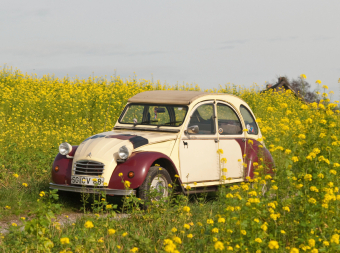 CALVENDO Puzzle Kultautomobil Ente Citroën 2CV 2000 Teile Puzzle quer | 2000 Teile Lege-Größe 90 × 67 cm Foto-Puzzle für glückliche Stunden