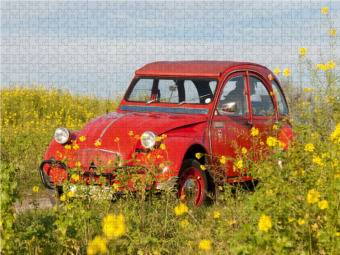CALVENDO Puzzle Ente im Glebsenf 2000 Teile Puzzle quer | 2000 Teile Lege-Größe 90 × 67 cm Foto-Puzzle für glückliche Stunden