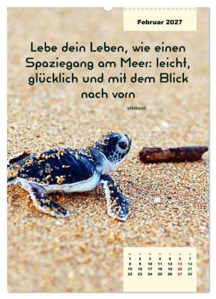 Verrückt nach MEER - Wellen - Strand - Zitate (Wandkalender 2027 DIN A2 hoch), CALVENDO Monatskalender