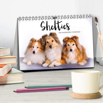 Shelties - Die zuckersüßen Vierbeiner. (Tischkalender 2027 DIN A5 quer), CALVENDO Monatskalender