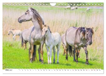 Ein Herz für Wildpferde (Wandkalender 2027 DIN A4 quer), CALVENDO Monatskalender