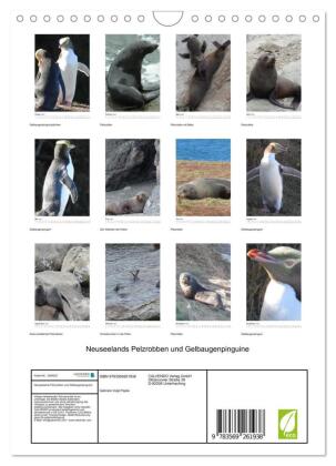 Neuseelands Pelzrobben und Gelbaugenpinguine (Wandkalender 2027 DIN A4 hoch), CALVENDO Monatskalender