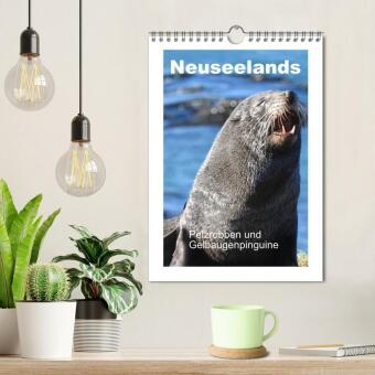 Neuseelands Pelzrobben und Gelbaugenpinguine (Wandkalender 2027 DIN A4 hoch), CALVENDO Monatskalender
