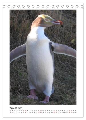 Neuseelands Pelzrobben und Gelbaugenpinguine (Tischkalender 2027 DIN A5 hoch), CALVENDO Monatskalender