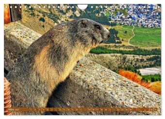 Hotspots im Wallis - Schweiz (Wandkalender 2027 DIN A4 quer), CALVENDO Monatskalender