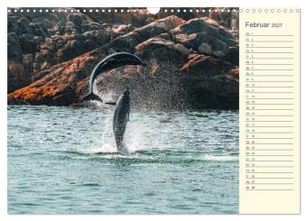 Oman - Unvergessliche Momente (Wandkalender 2027 DIN A3 quer), CALVENDO Monatskalender
