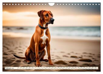 Rhodesian Ridgeback - Athlet mit Rückenkamm (Wandkalender 2027 DIN A4 quer), CALVENDO Monatskalender