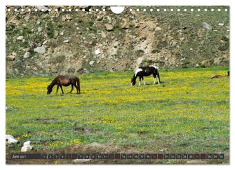 Ladakh - Zanskar (Wandkalender 2027 DIN A4 quer), CALVENDO Monatskalender