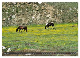 Ladakh - Zanskar (Wandkalender 2027 DIN A3 quer), CALVENDO Monatskalender