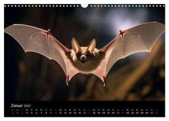 Fledermäuse - kleine Vampire (Wandkalender 2027 DIN A3 quer), CALVENDO Monatskalender