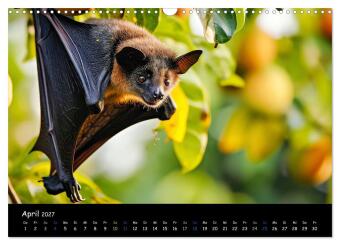 Fledermäuse - kleine Vampire (Wandkalender 2027 DIN A3 quer), CALVENDO Monatskalender