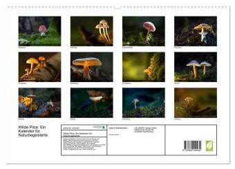 Wilde Pilze: Ein Kalender für Naturbegeisterte (hochwertiger Premium Wandkalender 2027 DIN A2 quer), Kunstdruck in Hochglanz