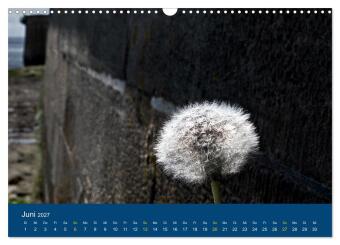 Die Nordmole in Wilhelmshaven. Historisches Relikt und Lieblingsort. (Wandkalender 2027 DIN A3 quer), CALVENDO Monatskalender