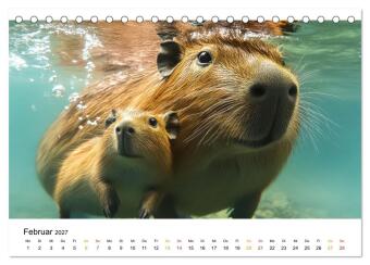 Capybara - liebenswertes großes Wasserschwein (Tischkalender 2027 DIN A5 quer), CALVENDO Monatskalender
