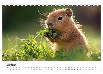 Capybara - liebenswertes großes Wasserschwein (Tischkalender 2027 DIN A5 quer), CALVENDO Monatskalender