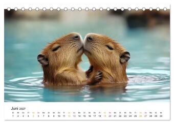 Capybara - liebenswertes großes Wasserschwein (Tischkalender 2027 DIN A5 quer), CALVENDO Monatskalender