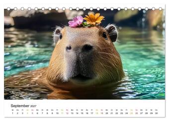 Capybara - liebenswertes großes Wasserschwein (Tischkalender 2027 DIN A5 quer), CALVENDO Monatskalender