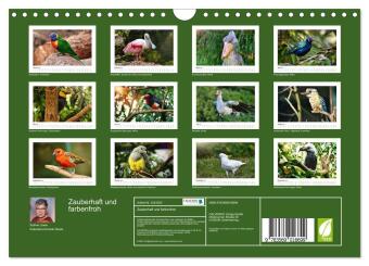 Zauberhaft und farbenfroh (Wandkalender 2027 DIN A4 quer), CALVENDO Monatskalender