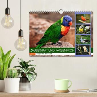 Zauberhaft und farbenfroh (Wandkalender 2027 DIN A4 quer), CALVENDO Monatskalender