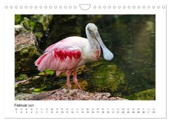 Zauberhaft und farbenfroh (Wandkalender 2027 DIN A4 quer), CALVENDO Monatskalender